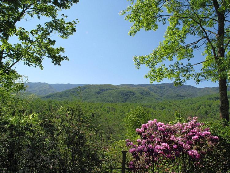 Seneca Villa Gatlinburg Ngoại thất bức ảnh